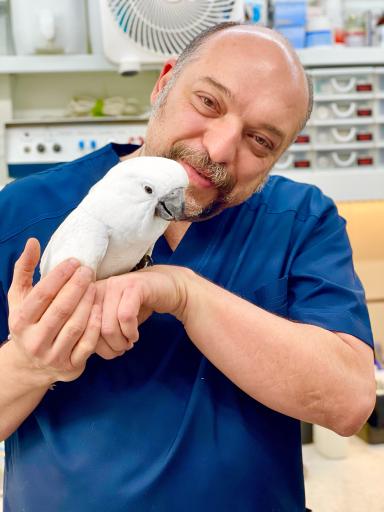 عکس پلی کلینیک تخصصی دامپزشکی پارسا