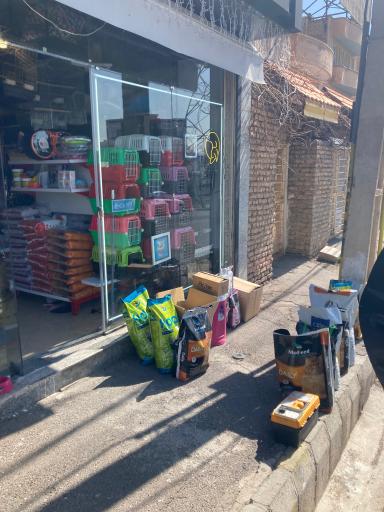 عکس پت شاپ نوین