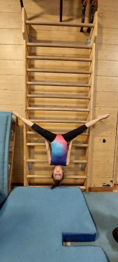 عکس آکادمی ژیمناستیک رها