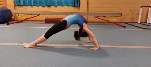 عکس آکادمی ژیمناستیک رها