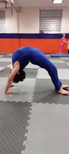 عکس آکادمی ژیمناستیک رها