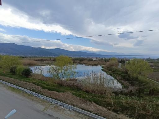 عکس برکه حبیب آباد