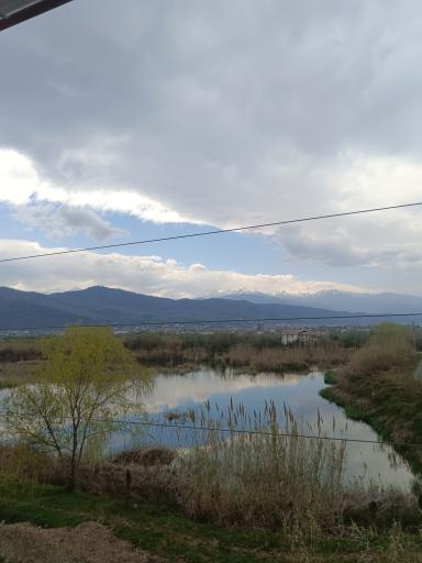 عکس برکه حبیب آباد