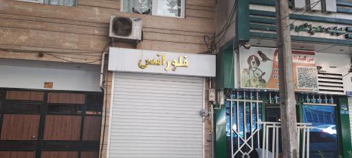 عکس خیاطی فلورانس