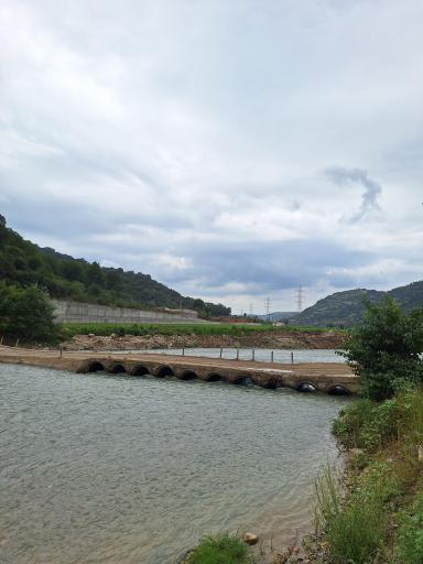 عکس رود تجن