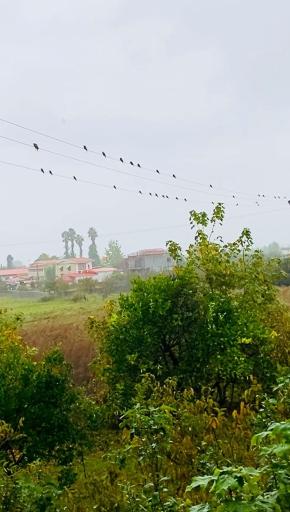 عکس برکه حبیب آباد