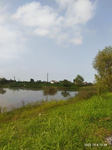 عکس برکه حبیب آباد