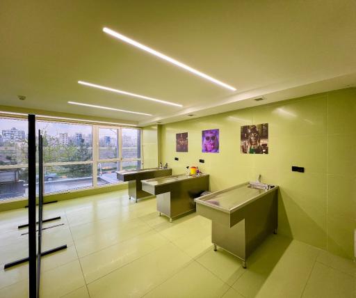 عکس بیمارستان دامپزشکی مهرآفرید