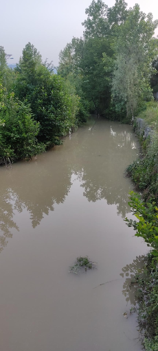 عکس برکه حبیب آباد
