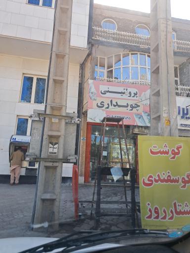 عکس پروتئینی چوبداری