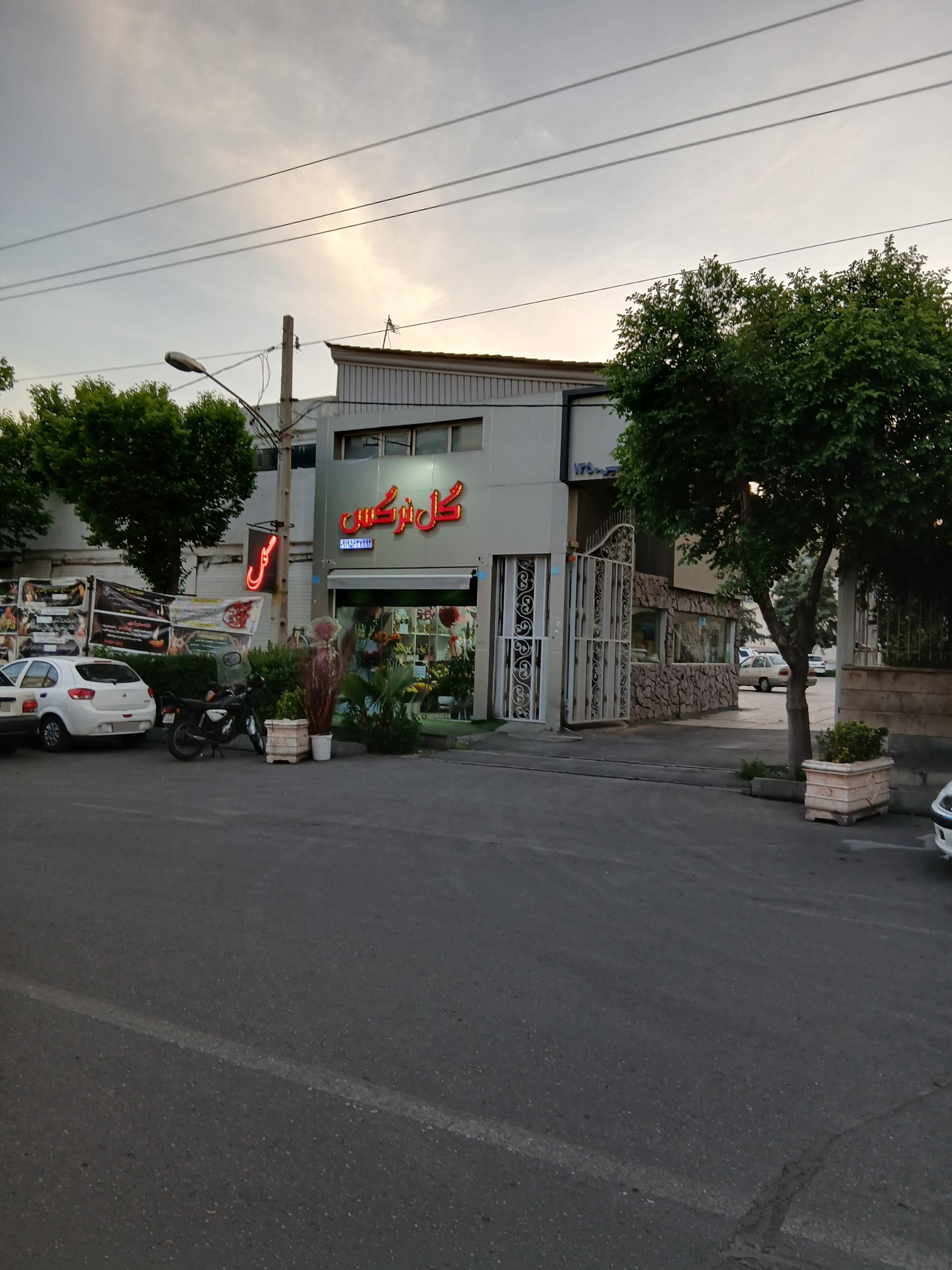 عکس گل نرگس