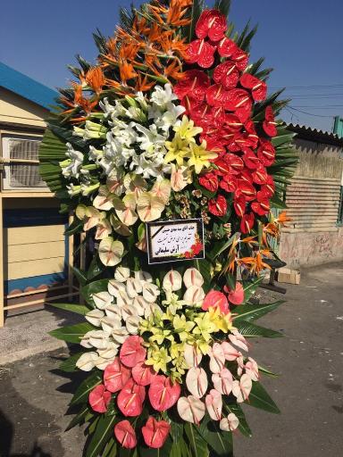 عکس گل نرگس