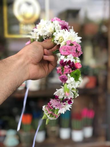 عکس گل نرگس