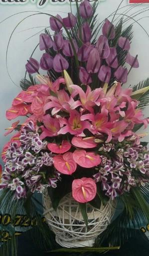 عکس گل نرگس