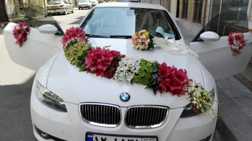 عکس گل نرگس