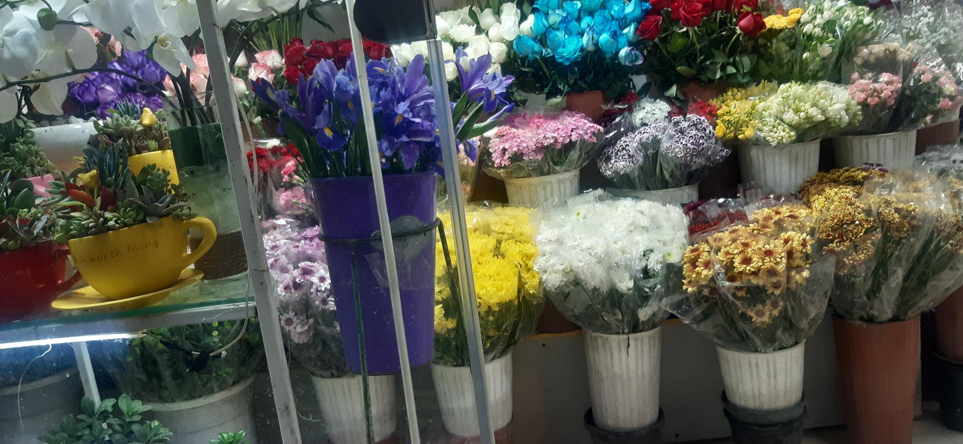 عکس گل بن سای