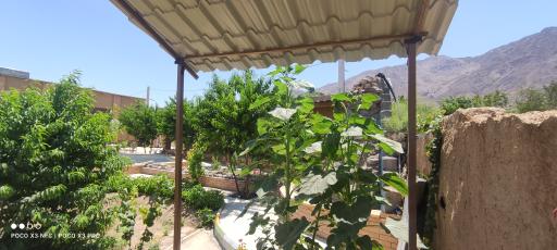 عکس اقامتگاه بومگردی سفره ایرانی باپذیرایی