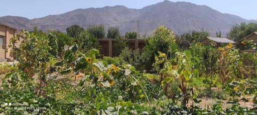 عکس اقامتگاه بومگردی سفره ایرانی باپذیرایی