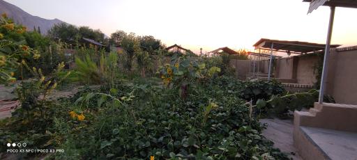 عکس اقامتگاه بومگردی سفره ایرانی باپذیرایی