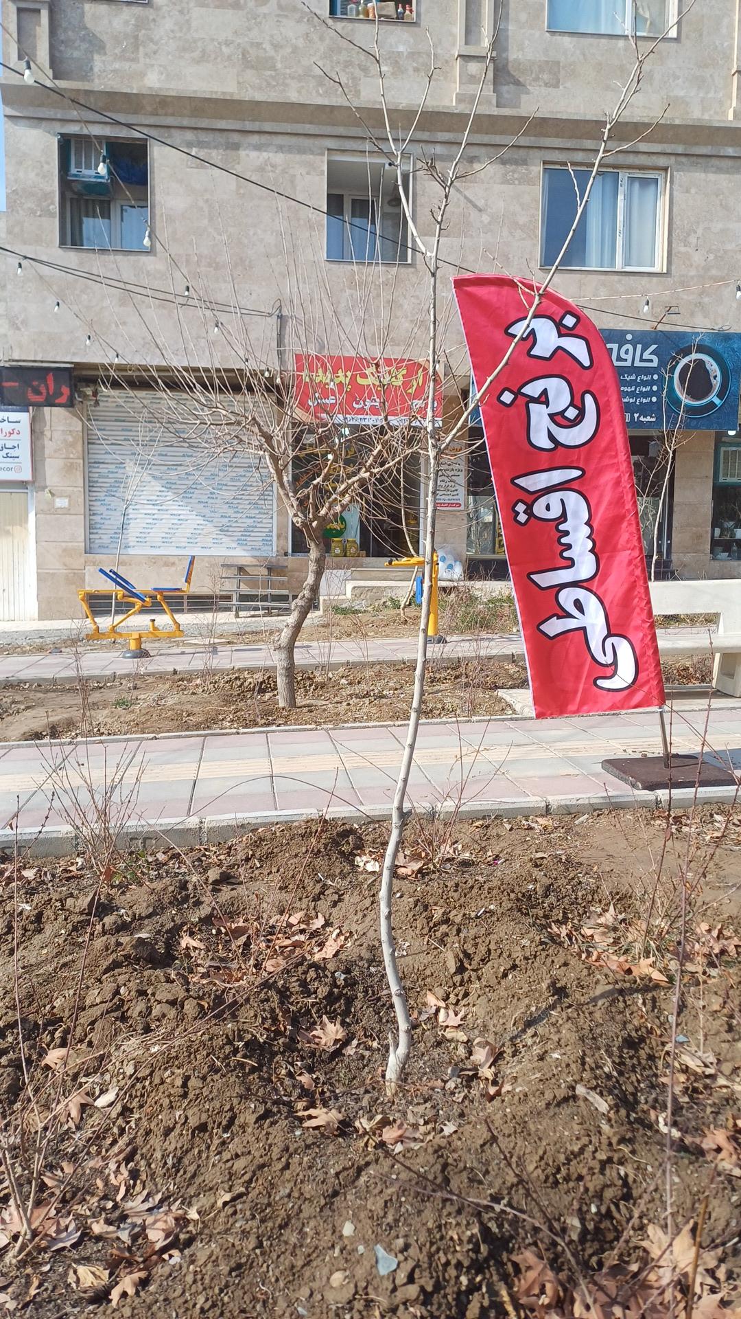 عکس  فروشگاه ارگانیک پدیده