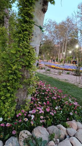 عکس پارک شهر