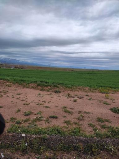 عکس ترکمنچای