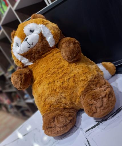 عکس گالری عروسک اریانا