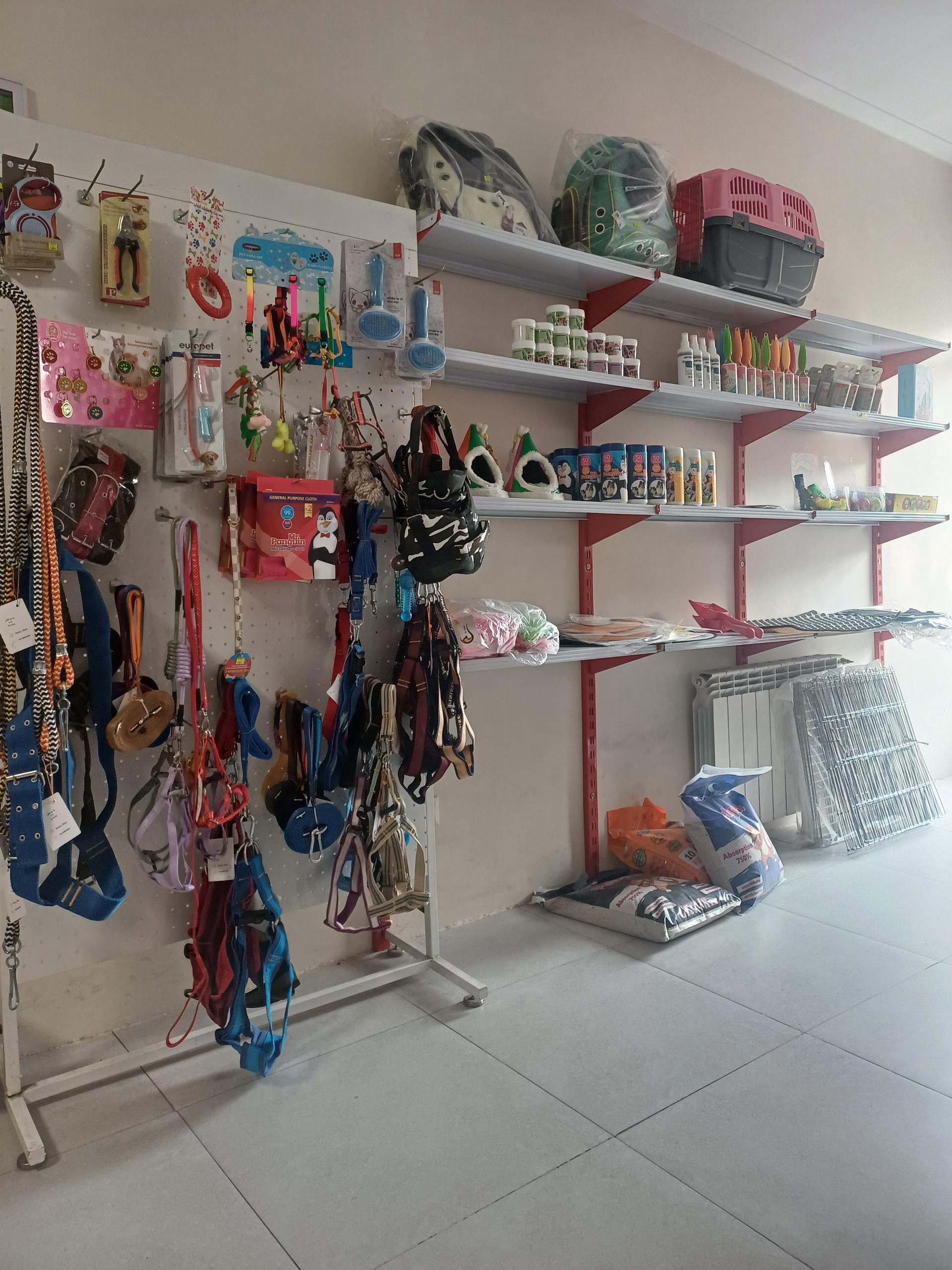 عکس کلینیک دامپزشکی پت پارادایس