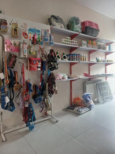 عکس کلینیک دامپزشکی پت پارادایس