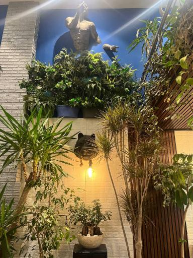 عکس کافه باقلوا علی کیپا