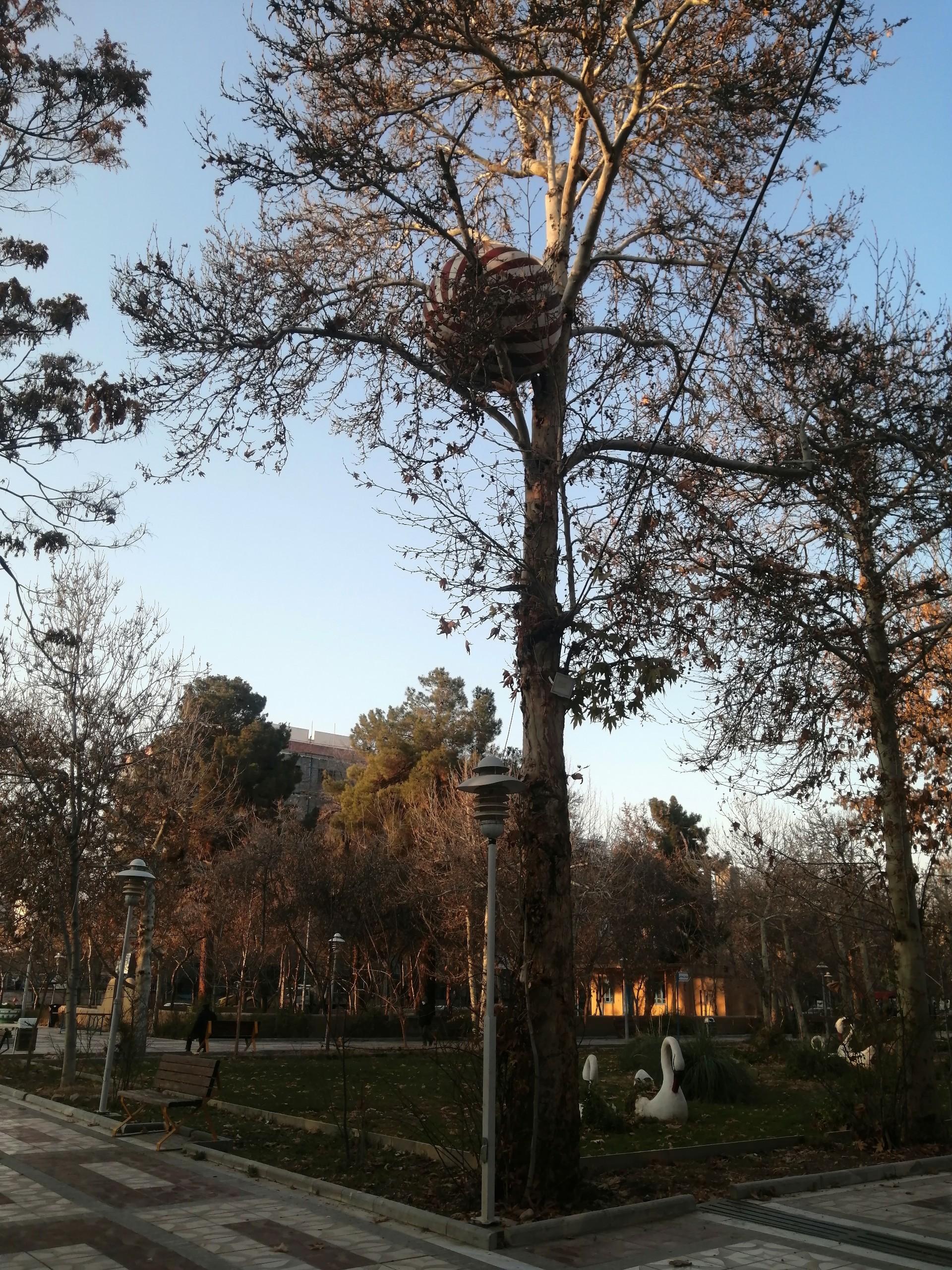 عکس پارک شهر