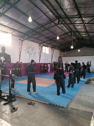 عکس دفاع شخصی شیهان عیدی 