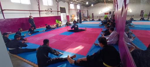 عکس دفاع شخصی شیهان عیدی 