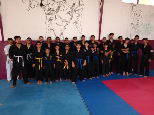 عکس دفاع شخصی شیهان عیدی 