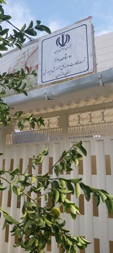 عکس مهد و پیش دبستانی دارا و سارا