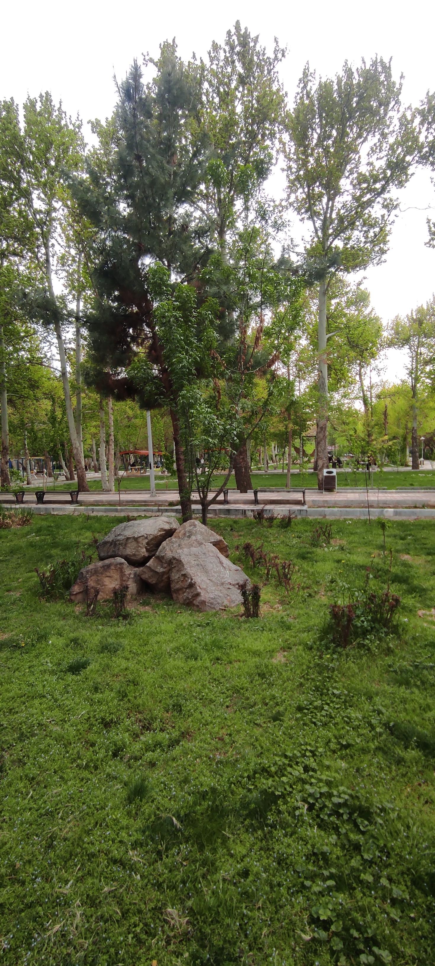عکس پارک شهر