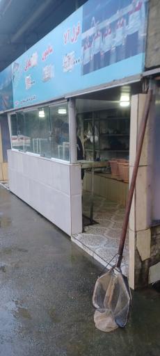 عکس پرورش ماهی فرهادی