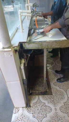 عکس پرورش ماهی فرهادی