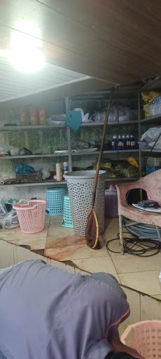 عکس پرورش ماهی فرهادی