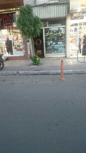 عکس لاستیک برادران