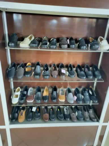 عکس کفش ملی پوشان