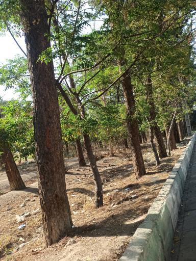 عکس بوستان رسالت