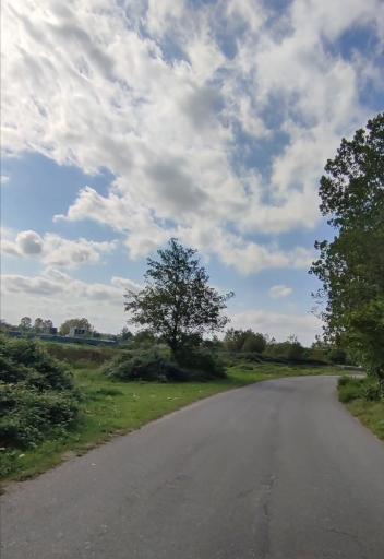 عکس پارک جنگلی کیاشهر