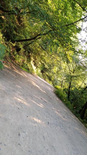 عکس پارک جنگلی کیاشهر