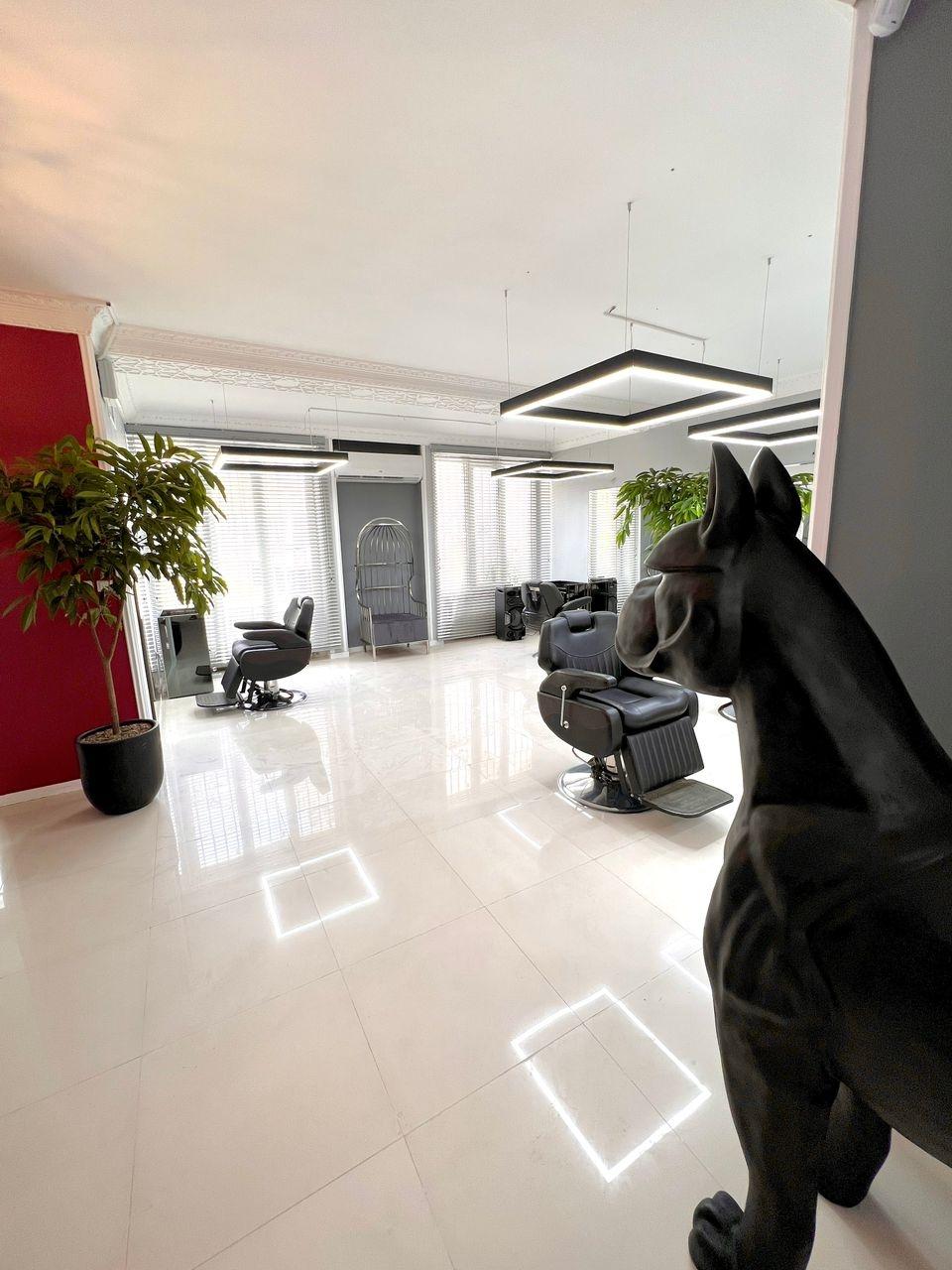 عکس پارادایس کلاب