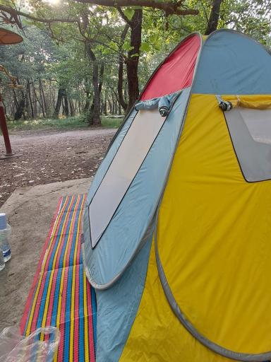 عکس پارک جنگلی کیاشهر