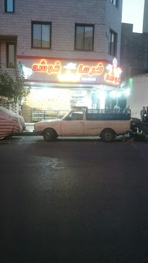 عکس خرما رطب خوشه