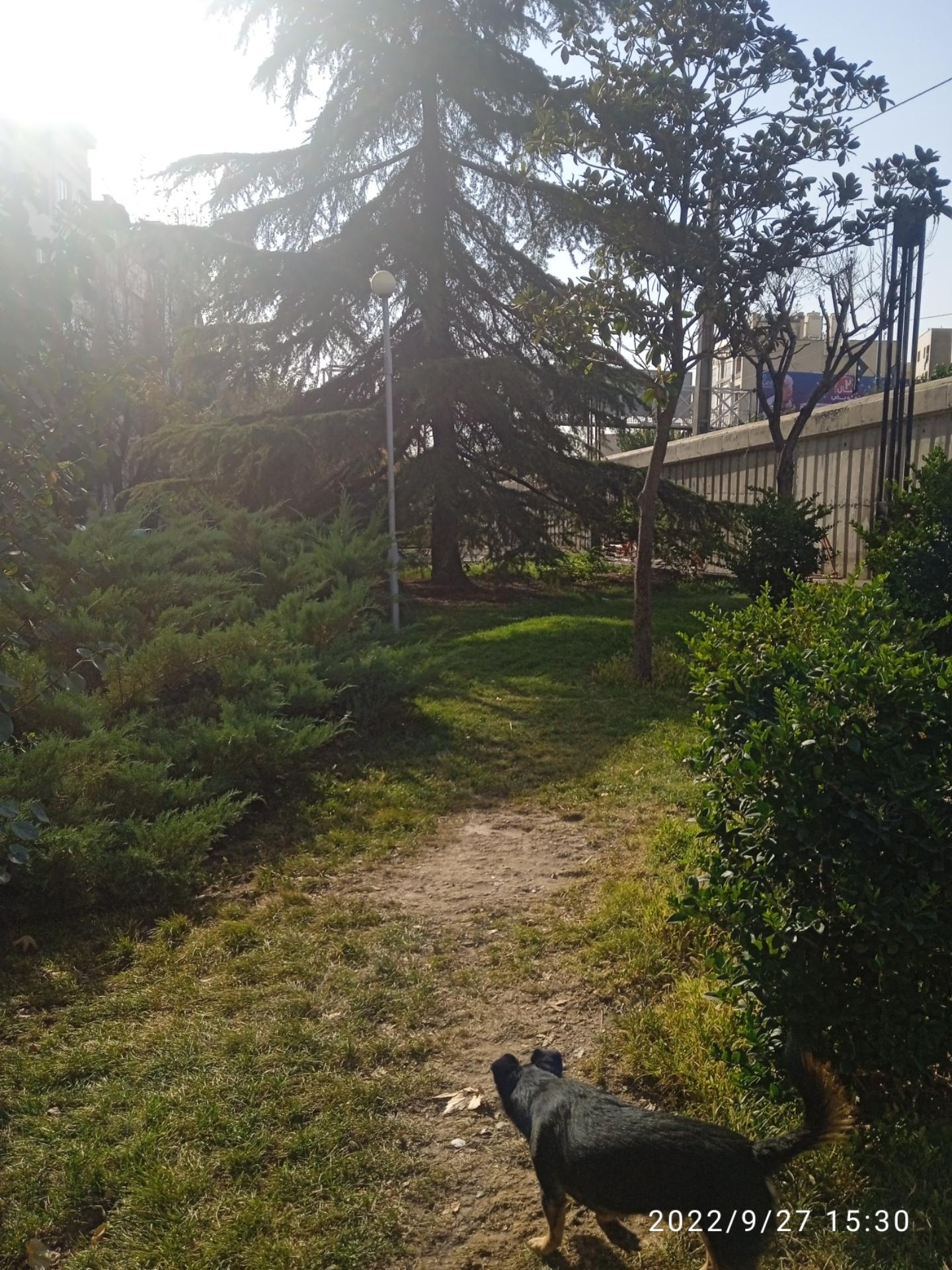 عکس بوستان ویانا