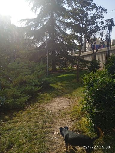 عکس بوستان ویانا