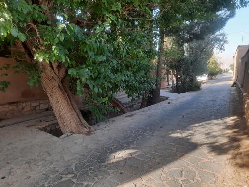 عکس مجتمع دینی فرهنگی ورزشی زرتشتیان